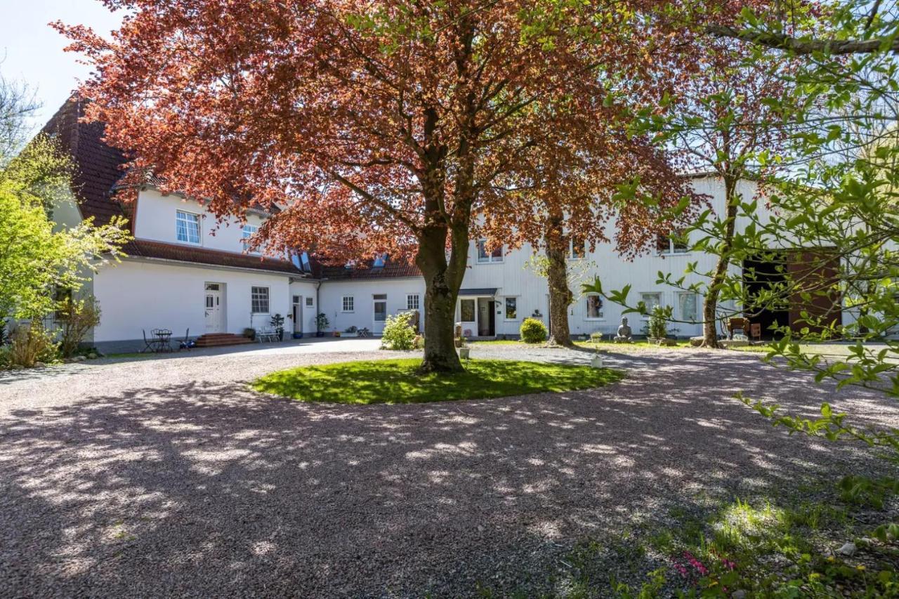 Reußenköge Denkerhof Ferienwohnung Deichblick מראה חיצוני תמונה